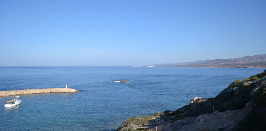 6 rooms Villa in Limassol,  No. 38994