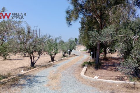 4 bedrooms Townhouse in Agios Theodoros, Larnaka,  No. 40591 30