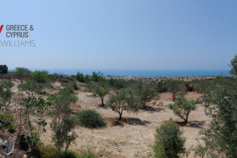 4 bedrooms Townhouse in Agios Theodoros, Larnaka,  No. 40591 29