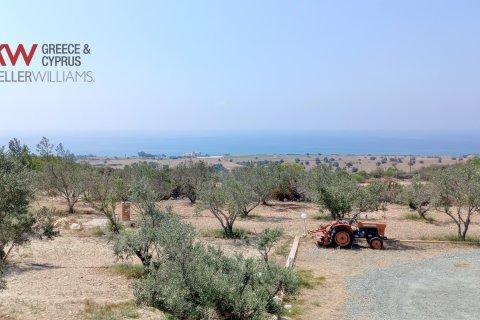 4 bedrooms Townhouse in Agios Theodoros, Larnaka,  No. 40591 28