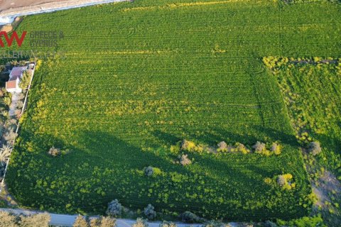 5310m2 Terreno en Kato Deftera, Nicosia,  No. 50432 2