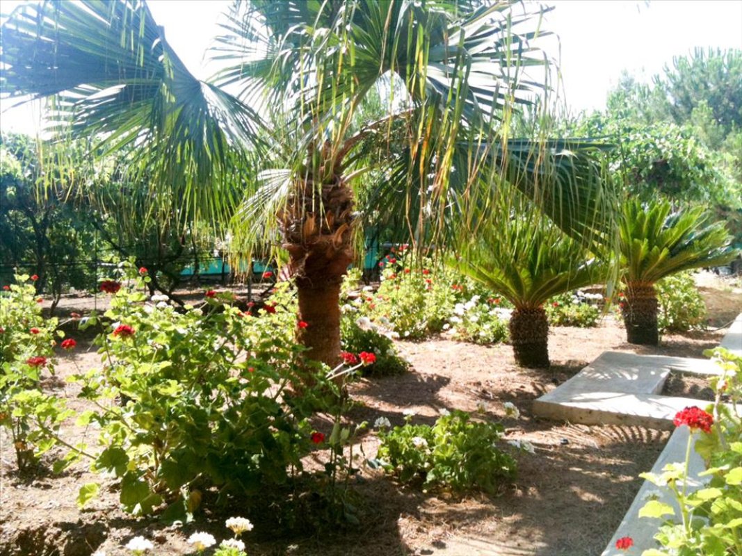 Estudio Villa en Limassol, Chipre No. 38287
