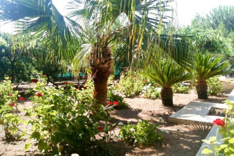 Estudio Villa en Limassol,  No. 38287 7