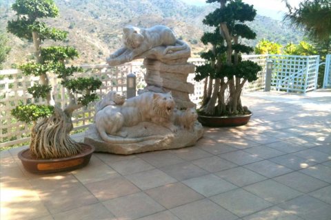 Estudio Villa en Limassol,  No. 38287 4