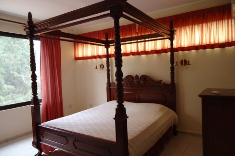 650m2 Propriété commerciale à Limassol,  No. 38289 5