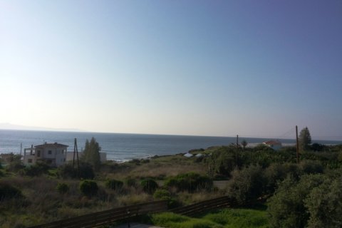 Вилла с 4 спальнями в Пафос,  № 38286 5