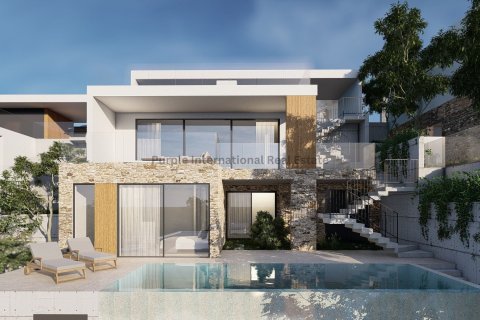 3 dormitorios Villa en Geroskípou, Paphos,  No. 53092 21