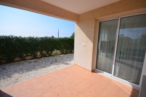 Вилла с 4 комнатами в Пафос,  № 38986 9