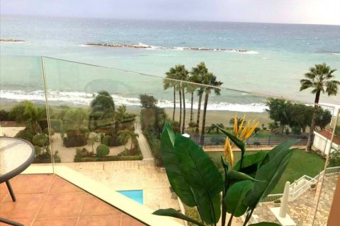 Studio Apartment in Limassol, No. 38254