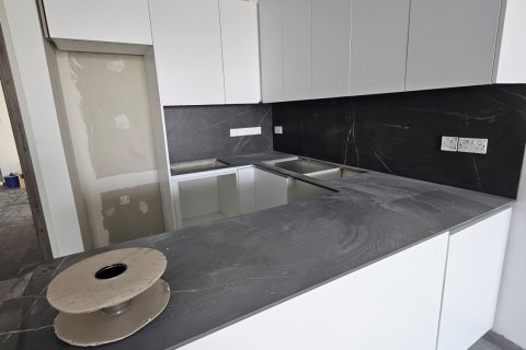 2 chambres Penthouse à Aradippou, Larnaka,  No. 48516 4