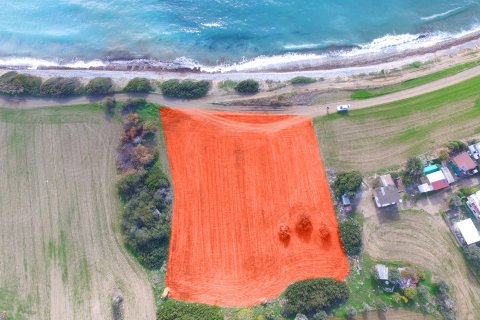 Terreno en Mazotos, Larnaka,  No. 55656 3
