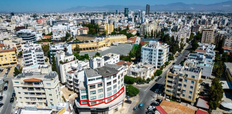 263m2 Commercial property in Nicosia, No. 37927