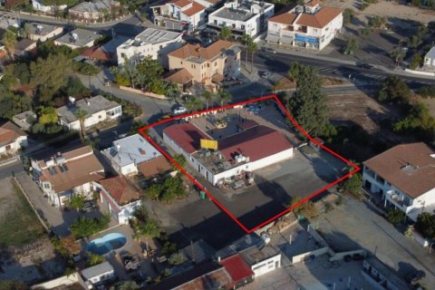 485m2 Commercial property in Nicosia, No. 37924 3