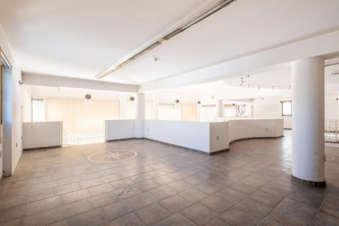 485m2 Commercial property in Nicosia,  No. 37954 8