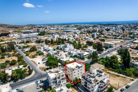 479m2 Commercial property in Paphos, No. 37956 4