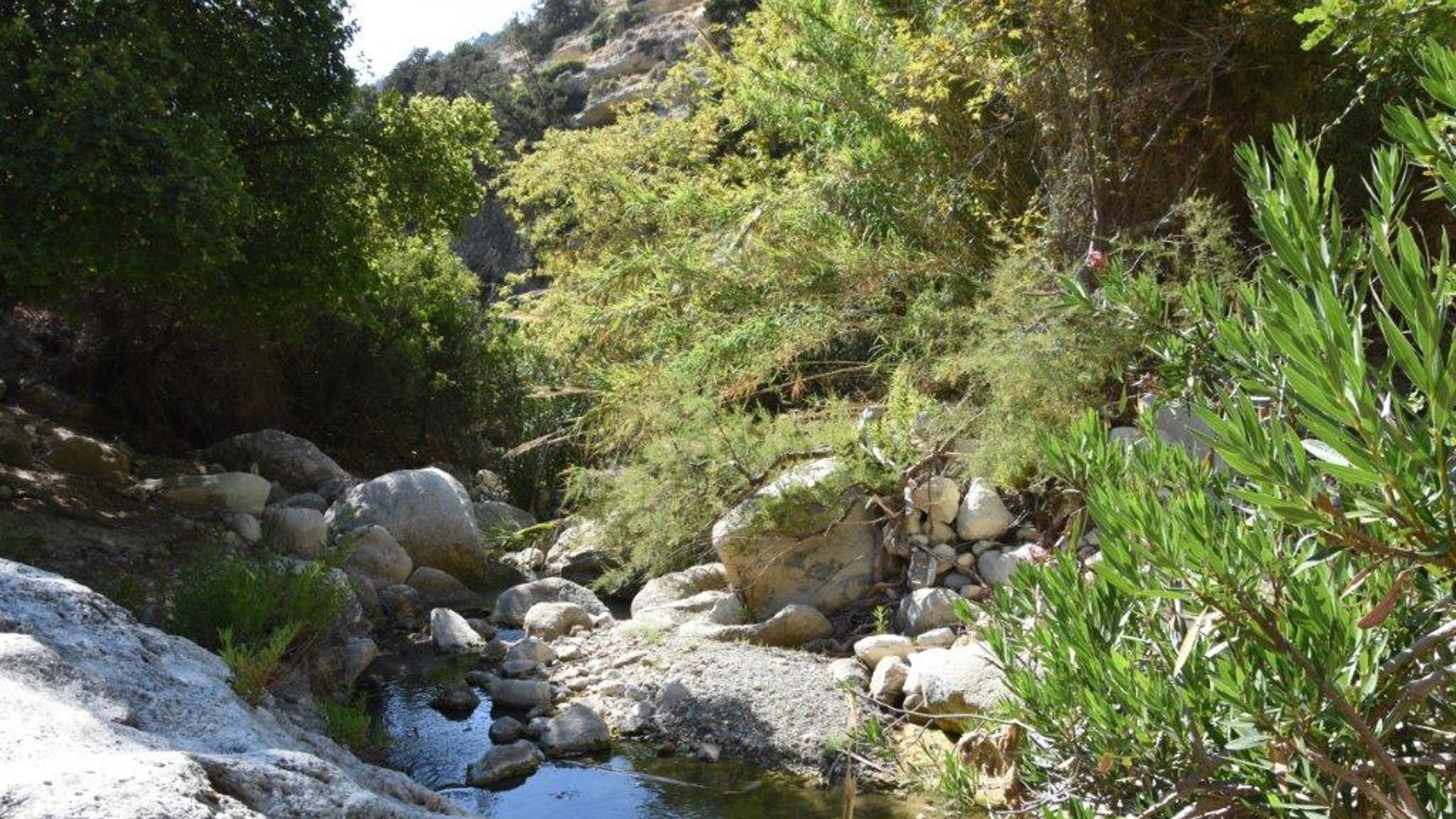 7275m2 Terrain à Neo Chorio, Paphos, Chypre No. 28157