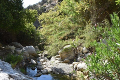 7275m2 Terrain à Neo Chorio, Paphos, Chypre No. 28157
