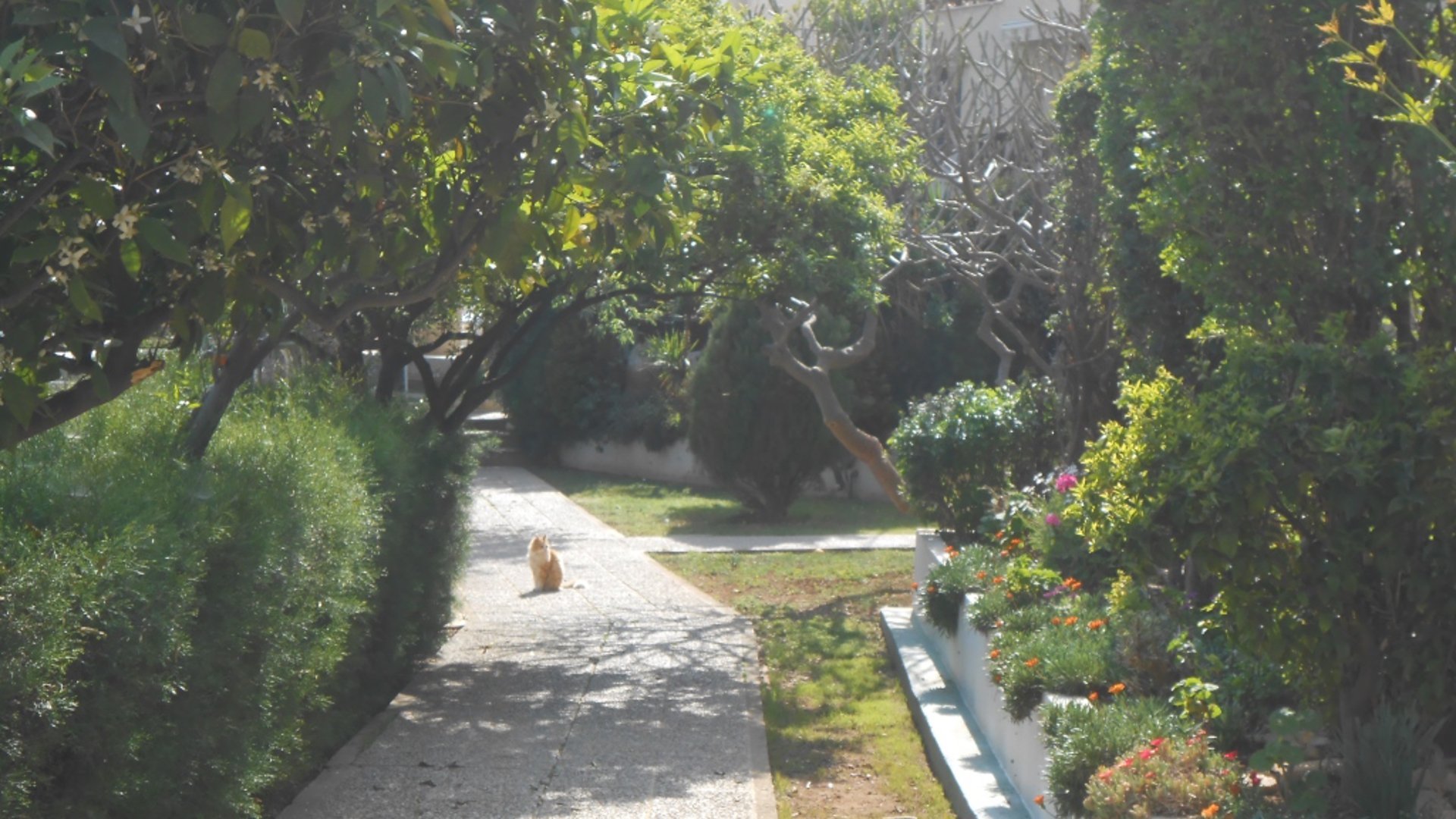 2 bedrooms Apartment in Limassol, Cyprus No. 25461