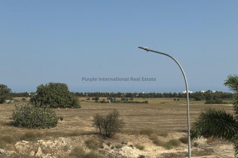 3 bedrooms Villa in Pyla, Larnaka,  No. 39043 12