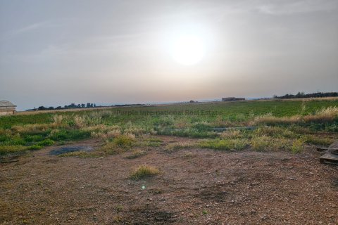 Бунгало с 5 спальнями в Ормидея, Ларнака,  № 52127 8