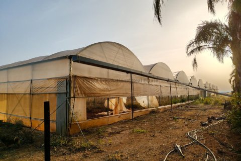 Бунгало с 5 спальнями в Ормидея, Ларнака,  № 52127 3