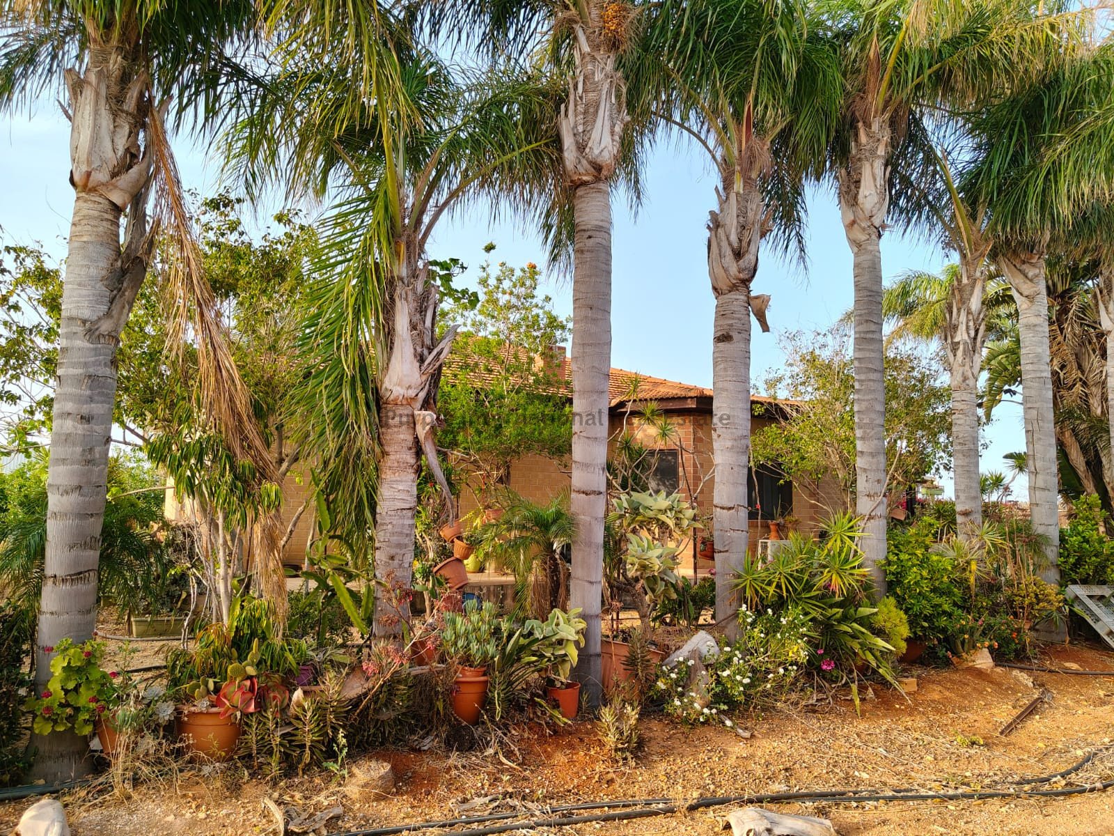 5 bedrooms Bungalow in Ormideia, Larnaka, Cyprus No. 52127