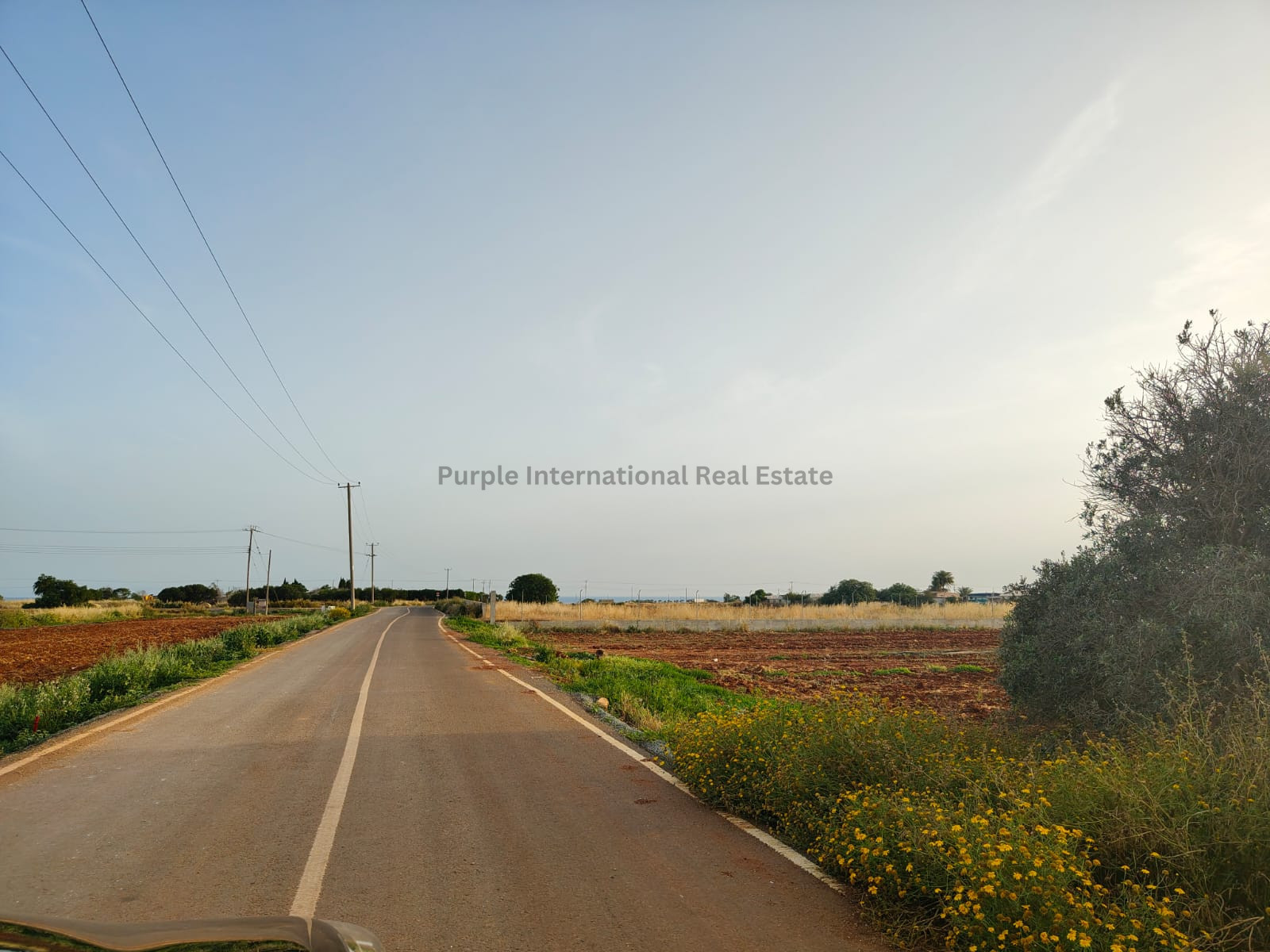 5 bedrooms Bungalow in Ormideia, Larnaka, Cyprus No. 52127