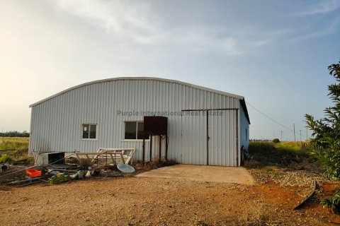 Бунгало с 5 спальнями в Ормидея, Ларнака,  № 52127 4