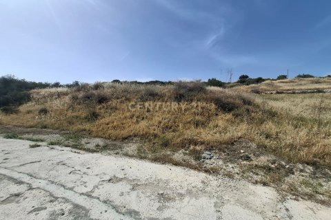 Land in Vouni, Limassol,  No. 56648 2