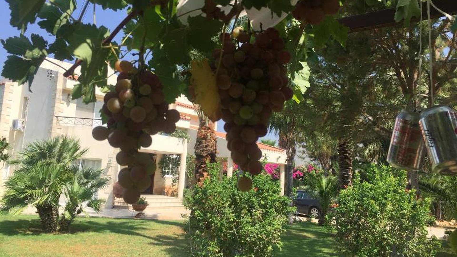 4 bedrooms Villa in Foinikaria, Limassol, Cyprus No. 25837