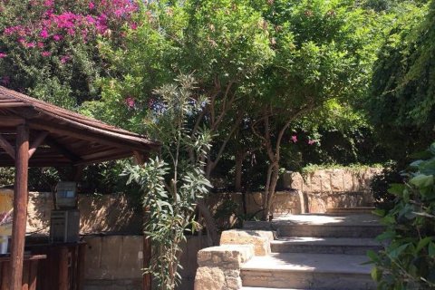 4 bedrooms Villa in Foinikaria, Limassol, Cyprus No. 25837