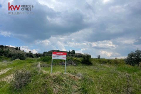 3142m2 Land in Pera, Nicosia,  No. 40344 4