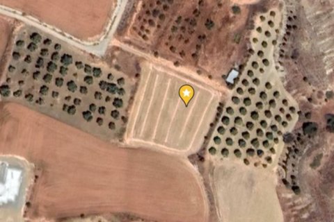 3142m2 Land in Pera, Nicosia,  No. 40344