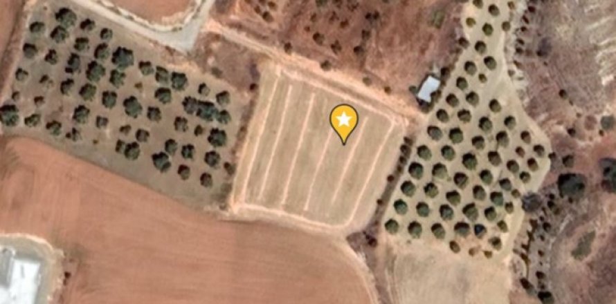 3142m2 Land in Pera, Nicosia,  No. 40344