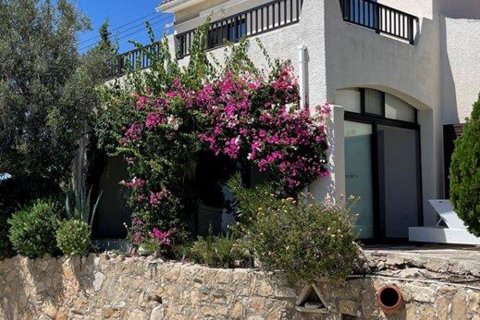 4 bedrooms Villa in Tala, Paphos, Cyprus No. 26462