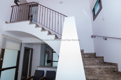 3 bedrooms Villa in Ayia Napa, Ammochostos,  No. 39408 13
