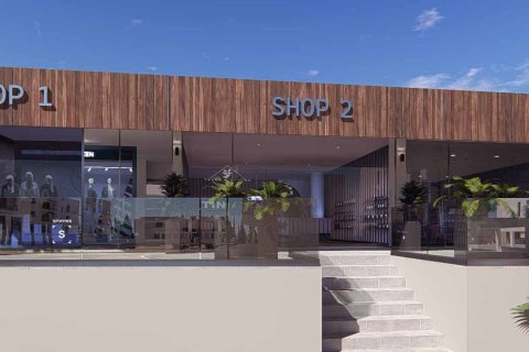 3 bedrooms Villa in Paphos,  No. 43024 11