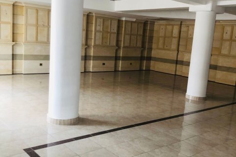 1000m2 Propriété commerciale à Limassol,  No. 44815 13