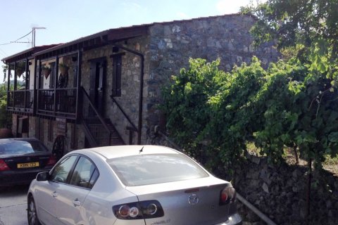 240m2 Cafe / restaurant in Troodos, Limassol, Cyprus No. 25599