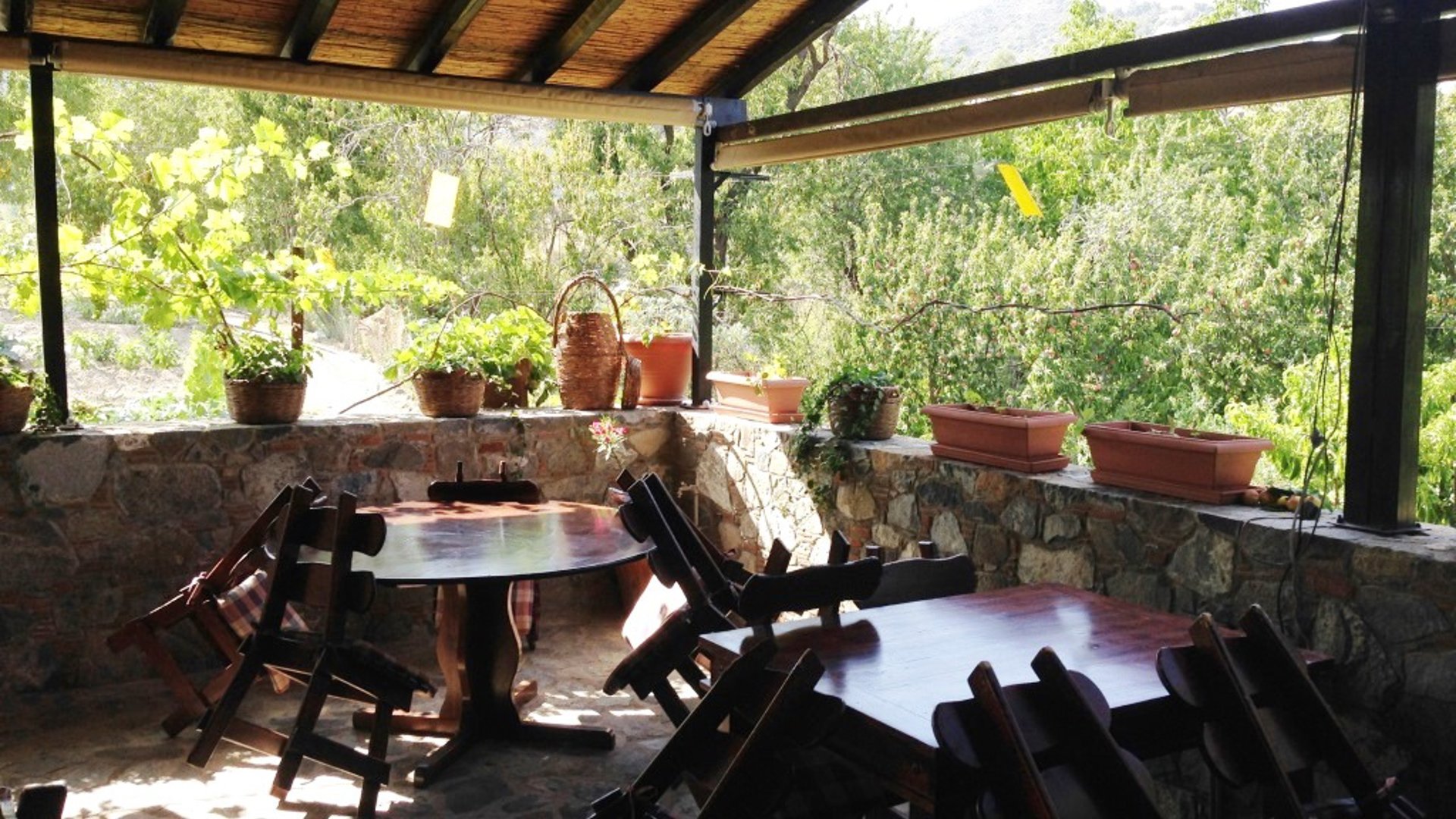 240m2 Cafe / restaurant in Troodos, Limassol, Cyprus No. 25599