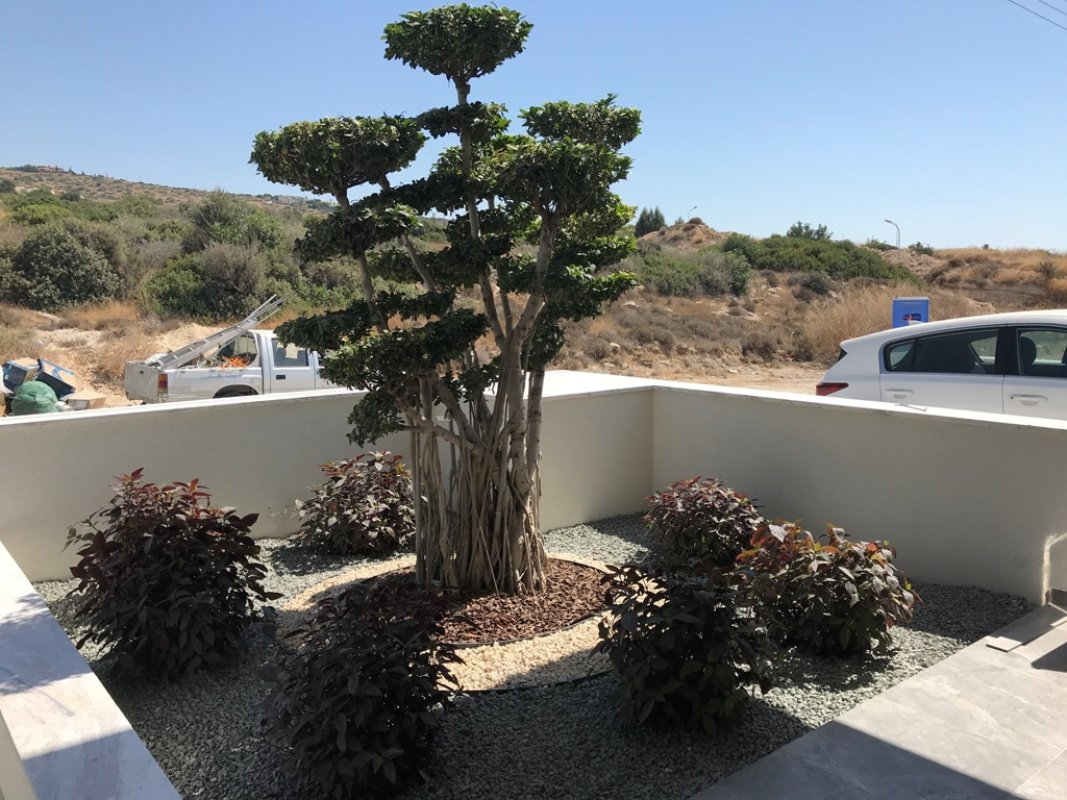 7 rooms Villa in Limassol, Cyprus No. 38506