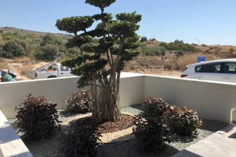 7 habitaciones Villa en Limassol,  No. 38506 14