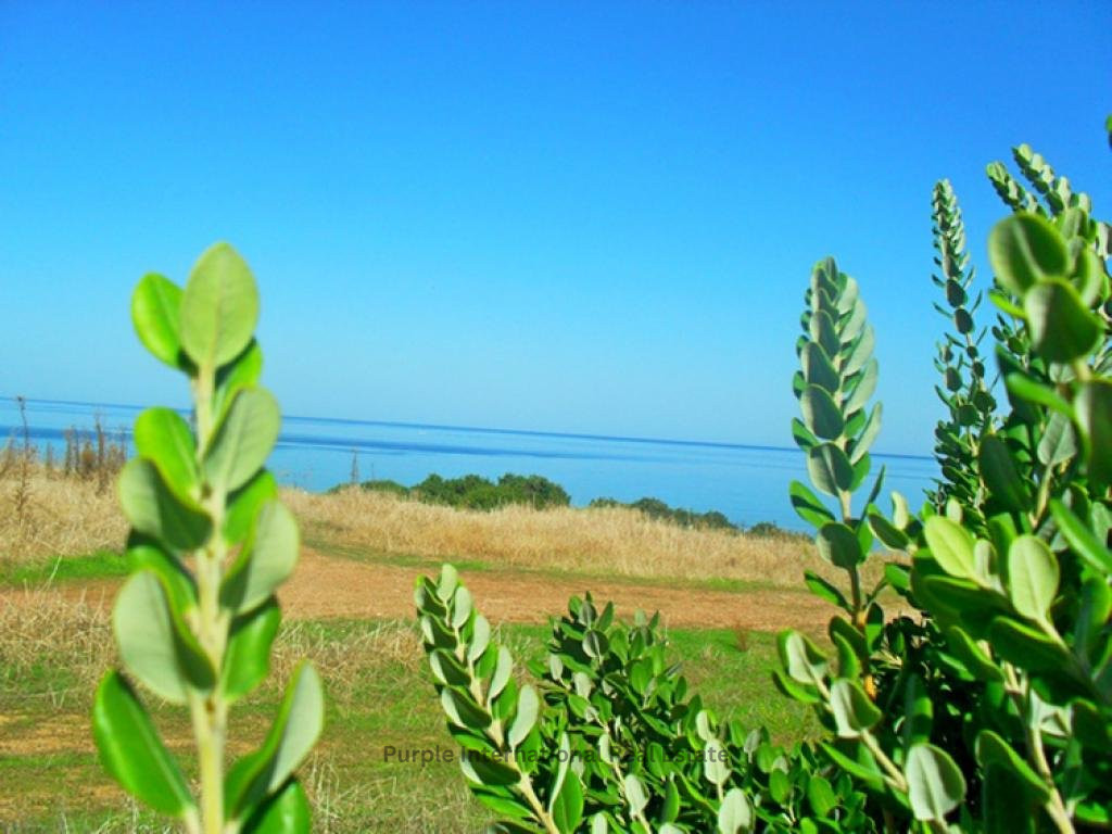 4 bedrooms Villa in Paphos, Cyprus No. 36144