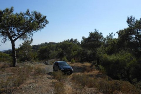 10796m2 Terrain à Pano Platres, Limassol, Chypre No. 25575