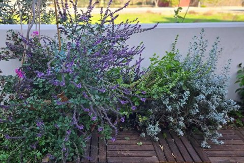 3 bedrooms Villa in Kiti, Larnaka,  No. 47772 12