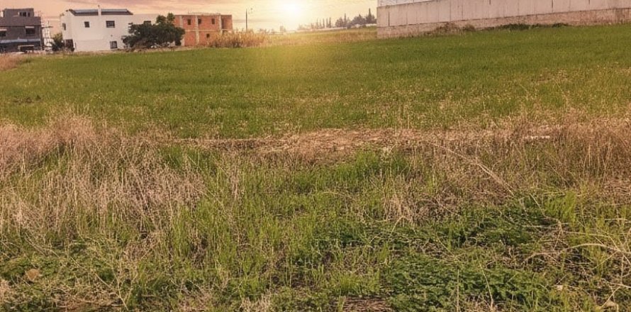 2021m2 Land in Larnaka,  No. 39829