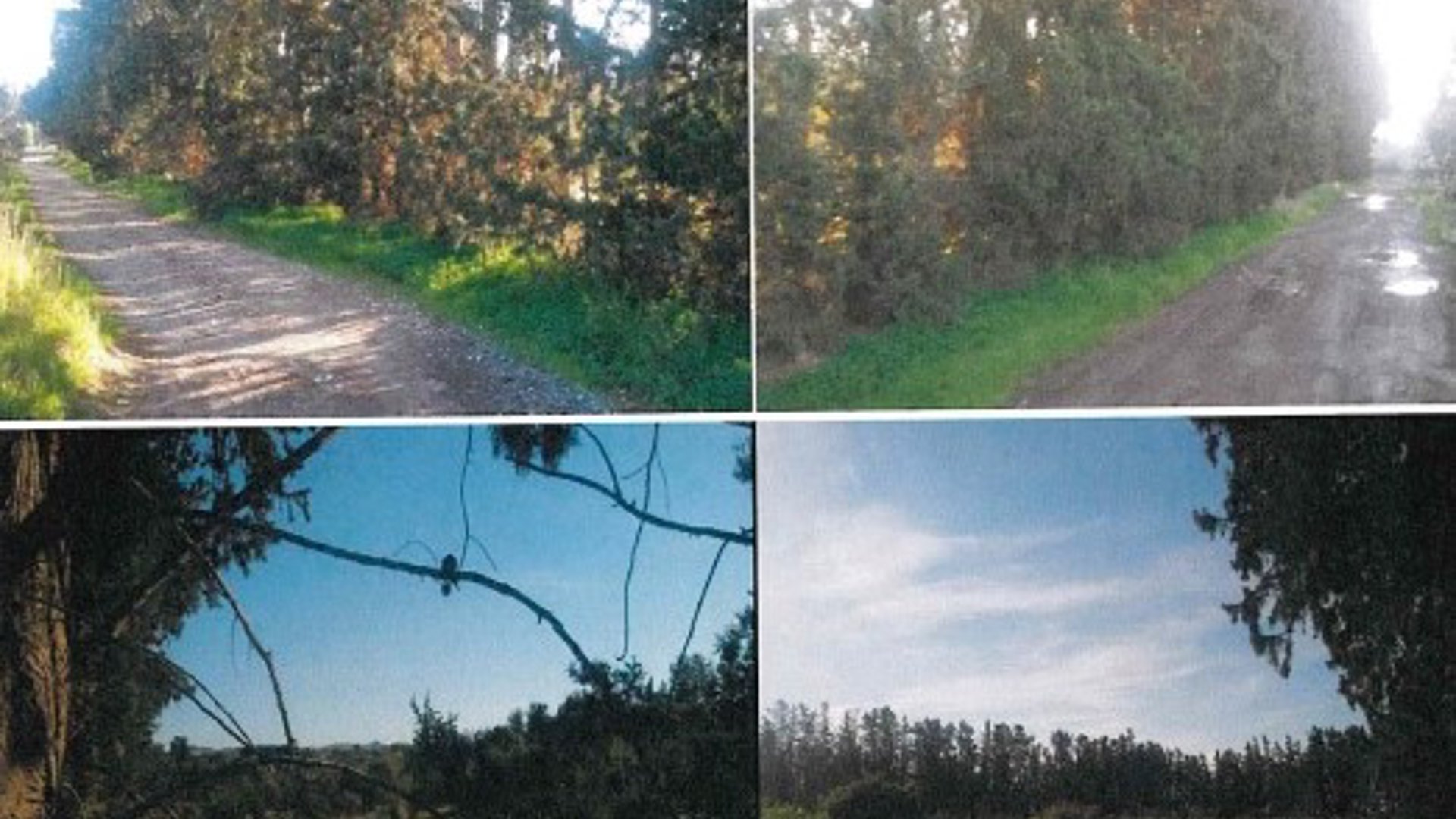 18900m2 Terrain à Geroskípou, Paphos, Chypre No. 26167
