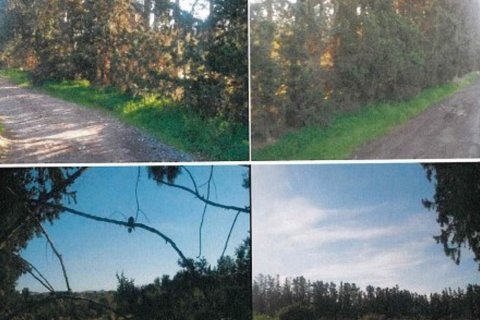18900m2 Terrain à Geroskípou, Paphos, Chypre No. 26167