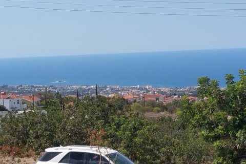 3780m2 Terrain à Tala, Paphos, Chypre No. 26168