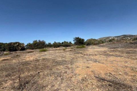 Terreno en Tremithousa, Paphos,  No. 50625 4